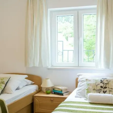 Apartment Klepo *