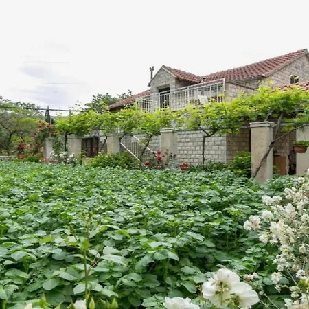 Klepo Apartman