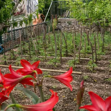 Klepo 두브로브니크